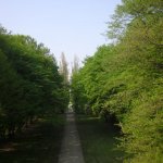 CopiadiCIMG4337